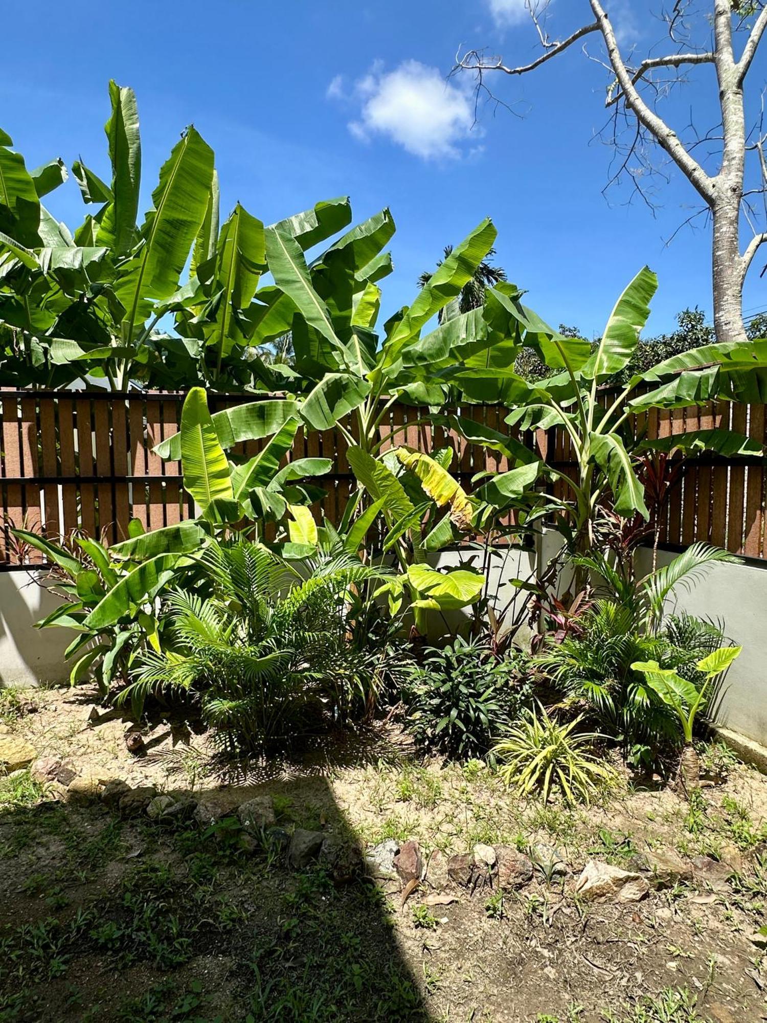 Tropical Thai Villa โฉลกหลำ ภายนอก รูปภาพ